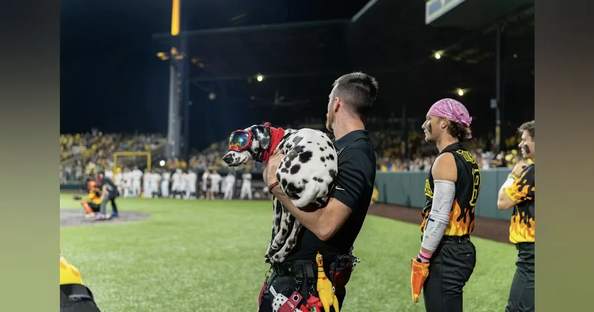 Banana Ball Firefighters players featured ahead of the 2026 season